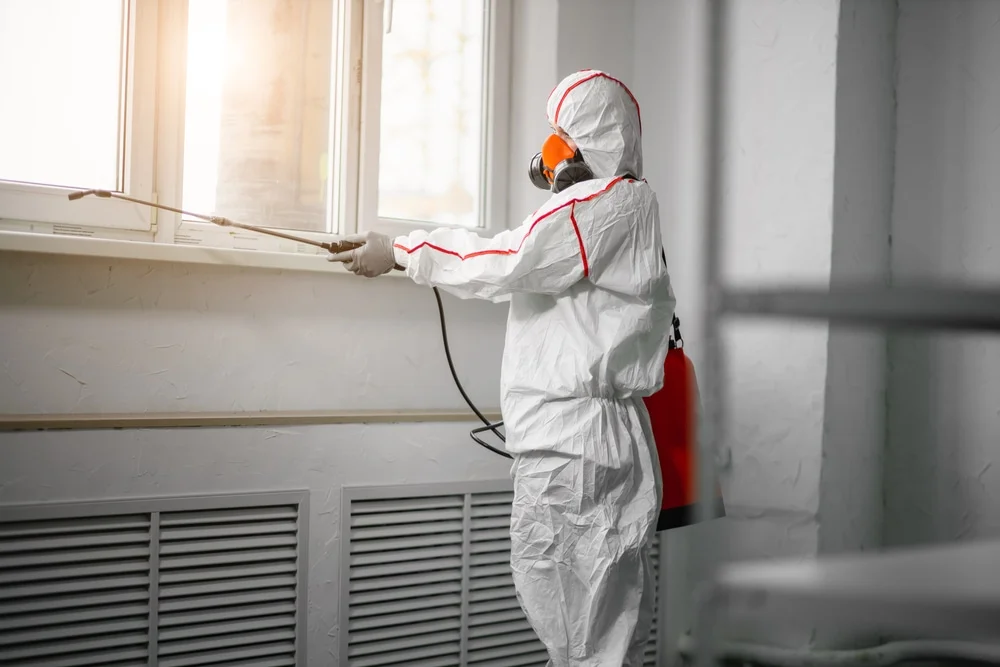 Professional mold remediation services in Waunakee, WI